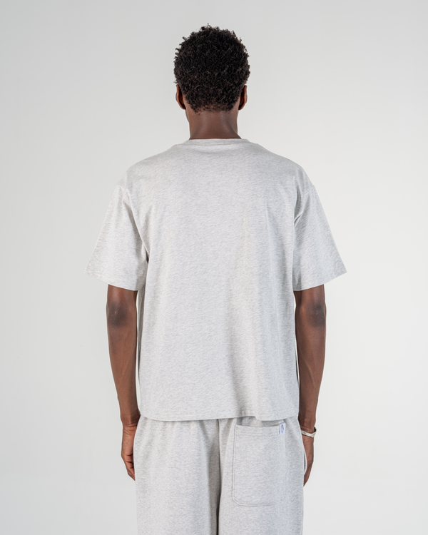 T-SHIRT PREMIUM [GRIS]